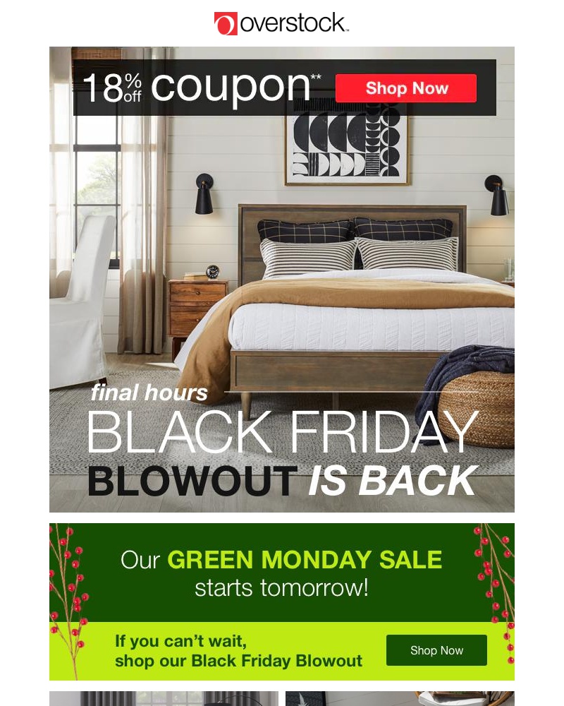 Screenshot of email with subject /media/emails/this-is-your-last-chance-to-shop-black-friday-get-your-18-off-coupon-now-cropped-4d7e43bb.jpg