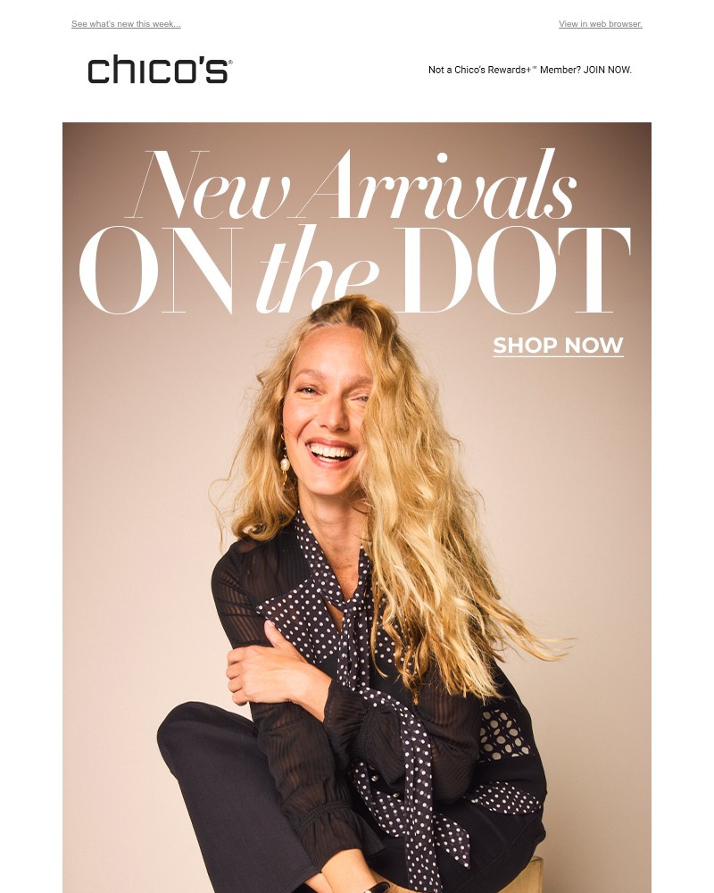 Screenshot of email with subject /media/emails/this-just-in-91e859-cropped-9229977c.jpg