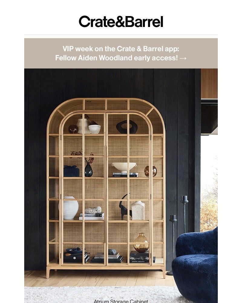 Screenshot of email with subject /media/emails/this-makes-organizing-a-breeze-6cbb53-cropped-7de831f0.jpg