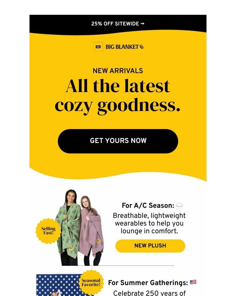 Screenshot of email sent to a Big Blanket Co. Newsletter subscriber