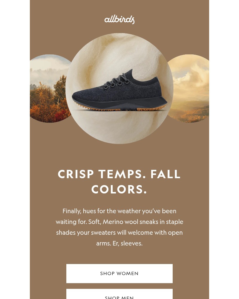 Screenshot of email with subject /media/emails/this-palette-plays-nice-with-everything-5dea48-cropped-ee5e35e3.jpg