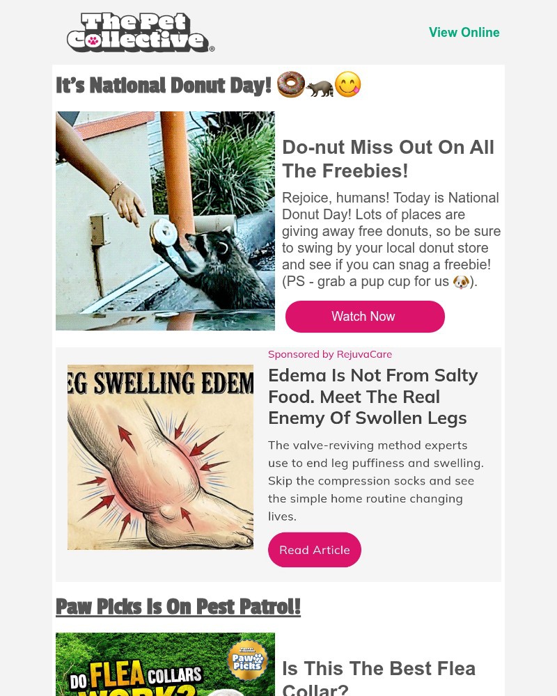 Screenshot of email with subject /media/emails/this-raccoon-didnt-forget-national-donut-day-167f3d-cropped-fbda5140.jpg