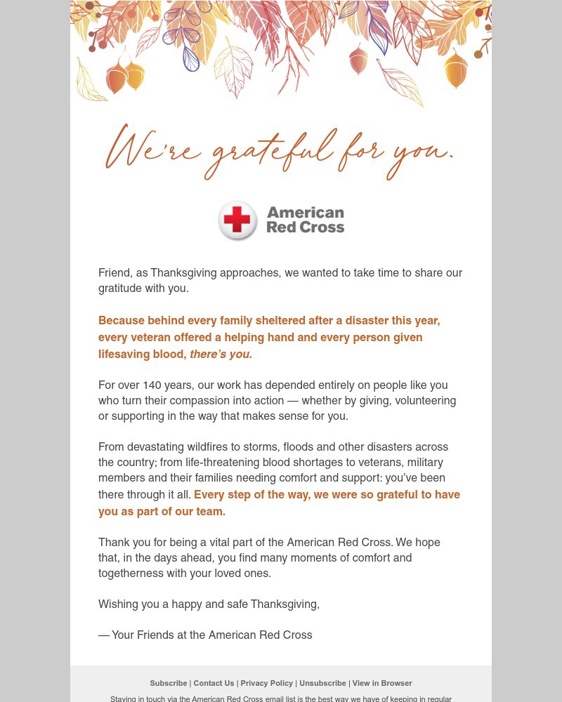 Screenshot of email with subject /media/emails/this-season-we-want-to-say-thank-you-cd1d03-cropped-be60c579.jpg