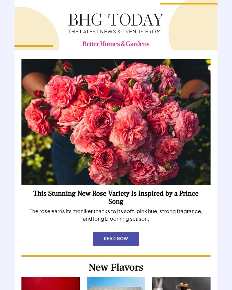 Screenshot of email sent to a Better Homes and Gardens Newsletter subscriber