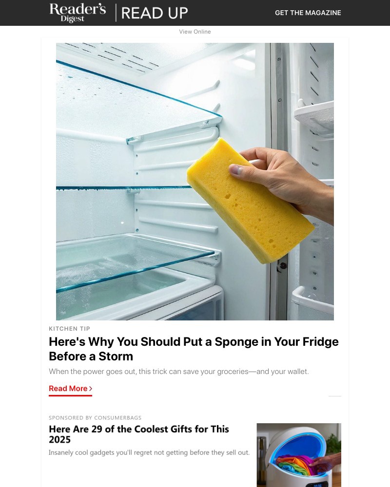 Screenshot of email with subject /media/emails/this-surprising-item-belongs-in-your-fridge-during-a-storm-4e7260-cropped-61274faf.jpg