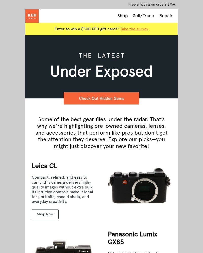 Screenshot of email sent to a KEH Camera Newsletter subscriber