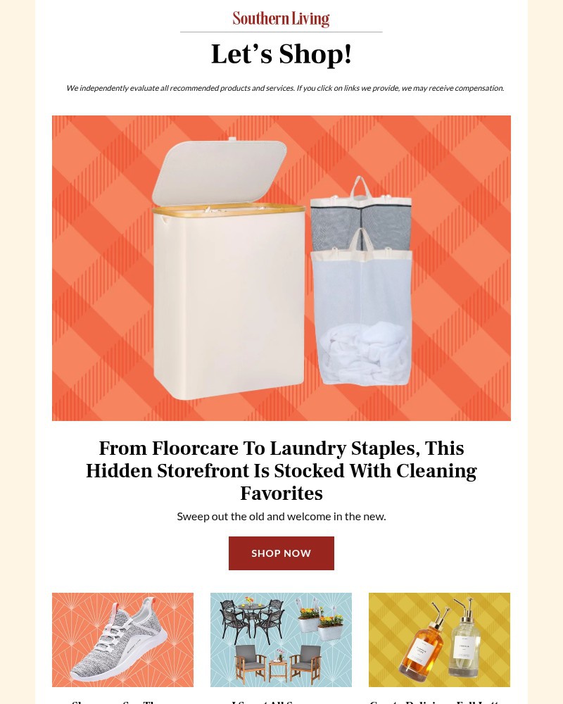 Screenshot of email with subject /media/emails/this-under-the-radar-page-has-everything-you-need-for-a-deep-clean-e5e12b-cropped_EwVKkdC.jpg