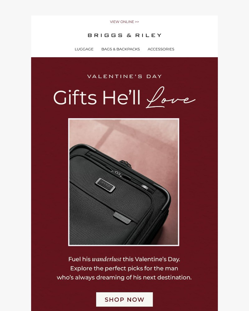 Screenshot of email with subject /media/emails/this-valentines-day-give-him-something-hell-love-c528bb-cropped-cea766f3.jpg