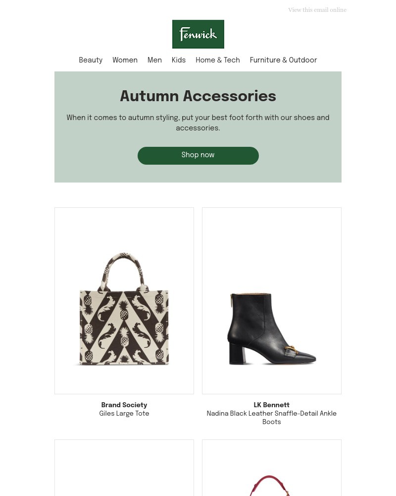 Screenshot of email with subject /media/emails/this-way-for-autumn-accessories-fd5da3-cropped-455339dd.jpg