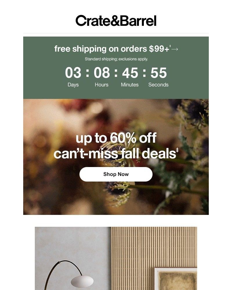 Screenshot of email with subject /media/emails/this-weekend-only-free-shipping-more-cant-miss-deals-7bd203-cropped-744b40e6.jpg