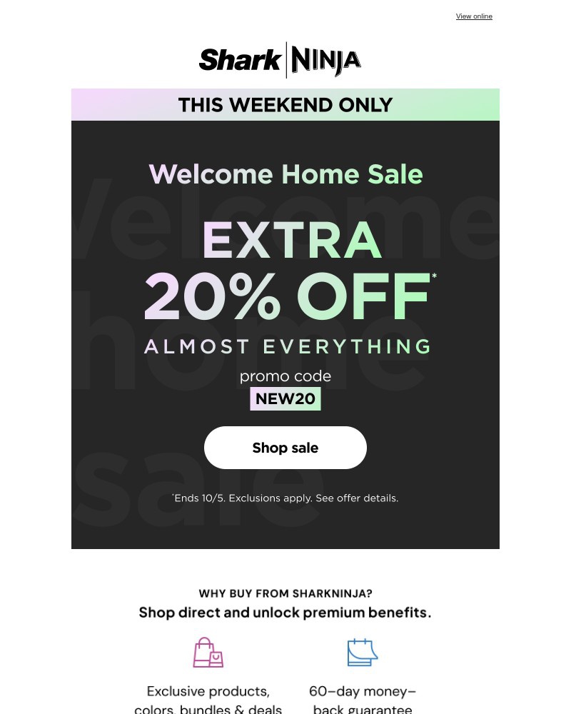 Screenshot of email with subject /media/emails/this-weekend-only20-off-almost-everything-3893c0-cropped-0ceccf82.jpg