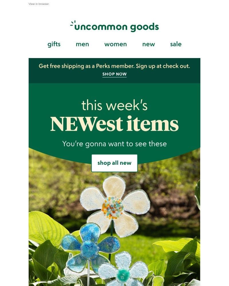 Screenshot of email with subject /media/emails/this-weeks-newest-items-e75e2a-cropped-f9cacfb3.jpg