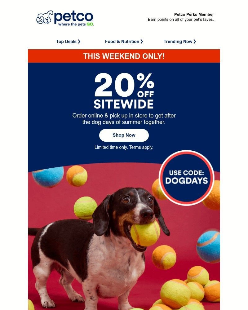 Screenshot of email sent to a Petco Newsletter subscriber