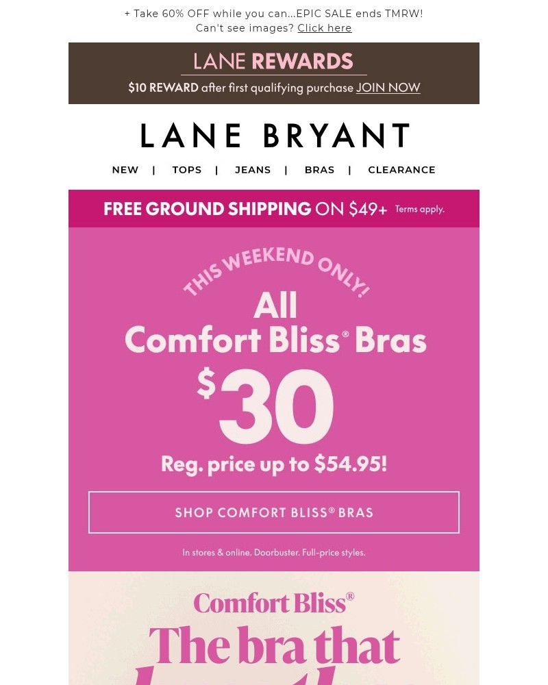 Screenshot of email sent to a Lane Bryant Newsletter subscriber