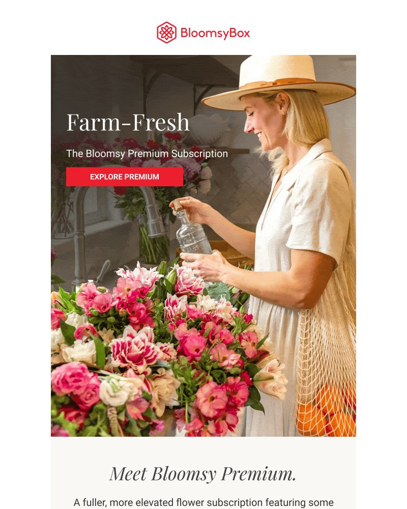 Screenshot of email with subject /media/emails/thoughtfully-designed-blooms-12f04f-cropped-055e7ba6.jpg