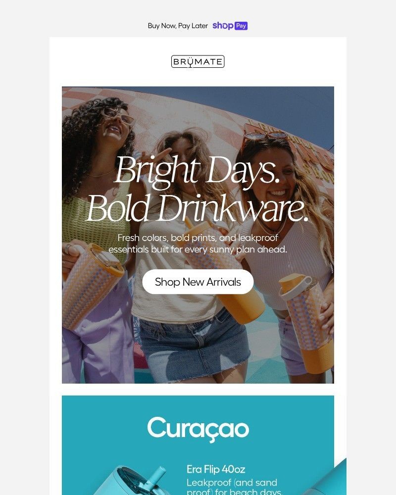 Screenshot of email sent to a BruMate Newsletter subscriber
