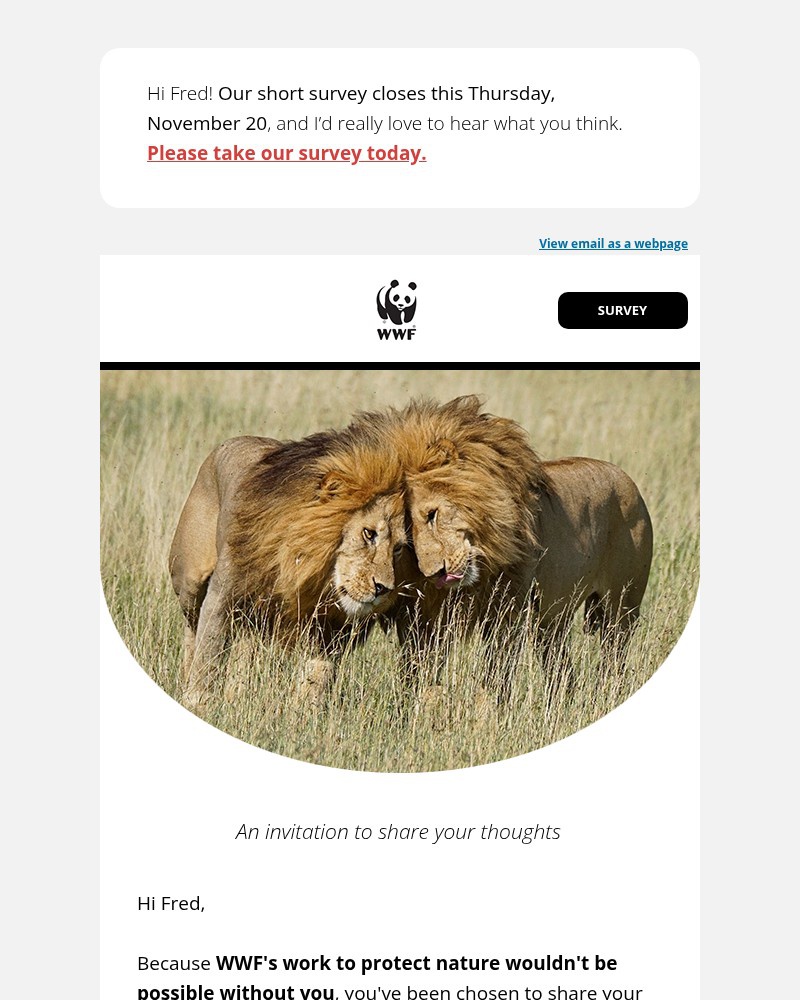 Screenshot of email with subject /media/emails/thursday-deadline-we-havent-heard-from-fred-yet-aa19f2-cropped-99d9c856.jpg