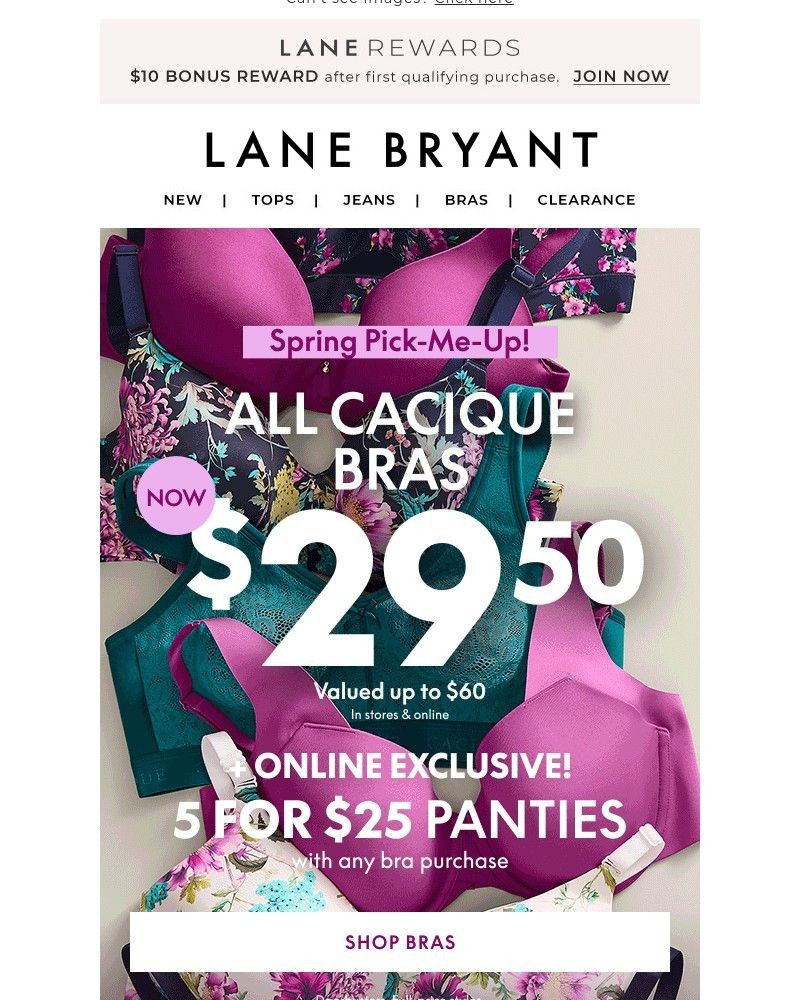 Screenshot of email with subject /media/emails/tick-tock-final-hours-for-2950-bras-47f13f-cropped-cb468184.jpg