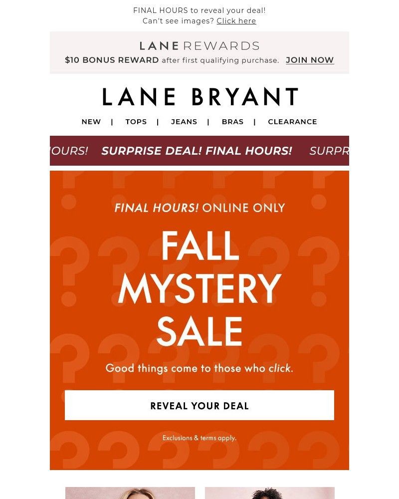 Screenshot of email with subject /media/emails/tick-tock-mystery-sale-ends-tonight-cbc094-cropped-fc8718d6.jpg