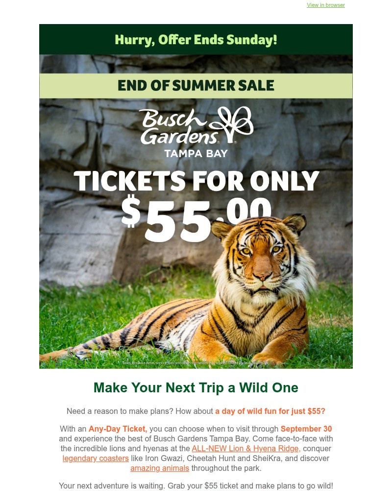 Screenshot of email with subject /media/emails/tickets-to-wild-for-just-55-during-our-end-of-summer-sale-33224f-cropped-a8dd96c2.jpg