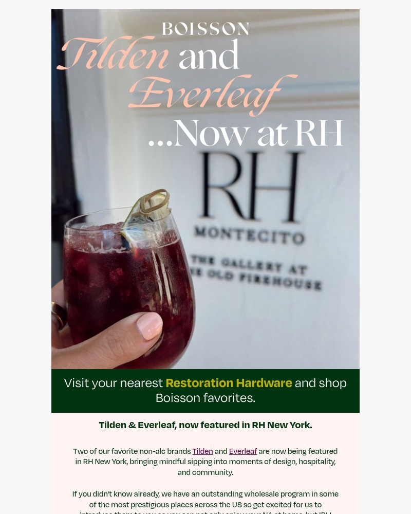 Screenshot of email with subject /media/emails/tilden-everleaf-x-restoration-hardware-nyc-b6c0c5-cropped-3d868d71.jpg