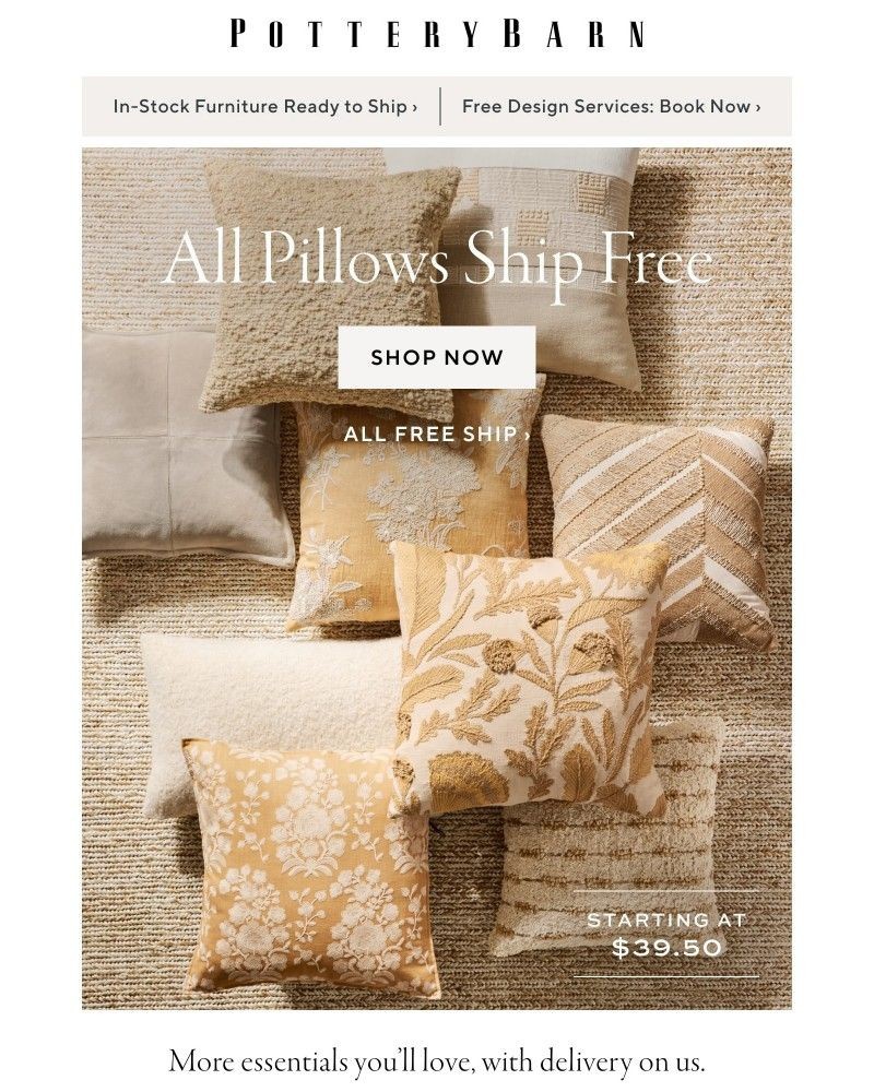 Screenshot of email with subject /media/emails/time-for-a-refresh-new-pillows-ship-free-4ca2e5-cropped-af89469a.jpg