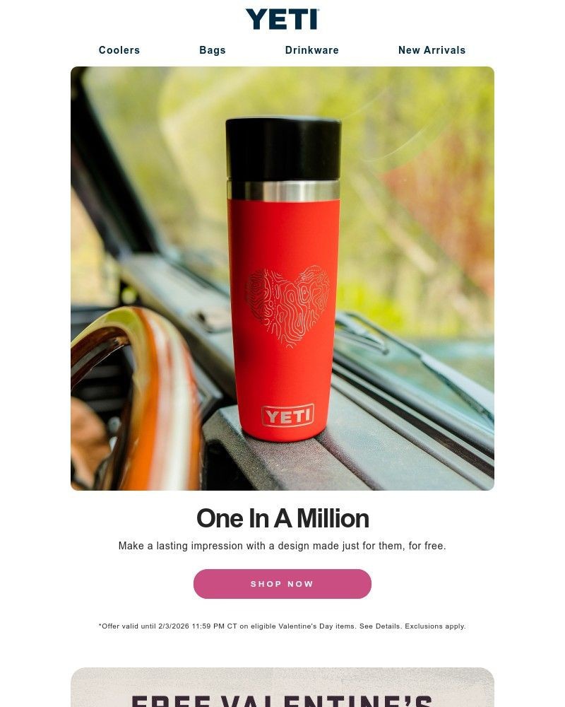 Screenshot of email sent to a Yeti Newsletter subscriber