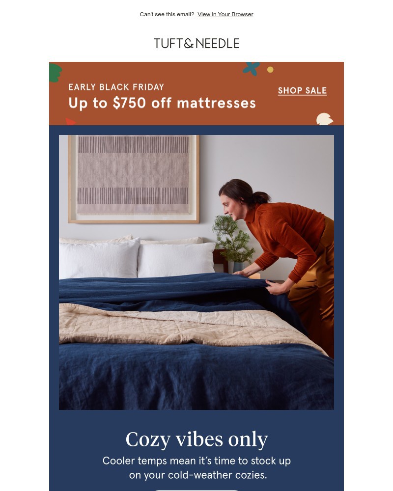 Screenshot of email with subject /media/emails/time-to-cozy-up-94df58-cropped-b17068fe.jpg