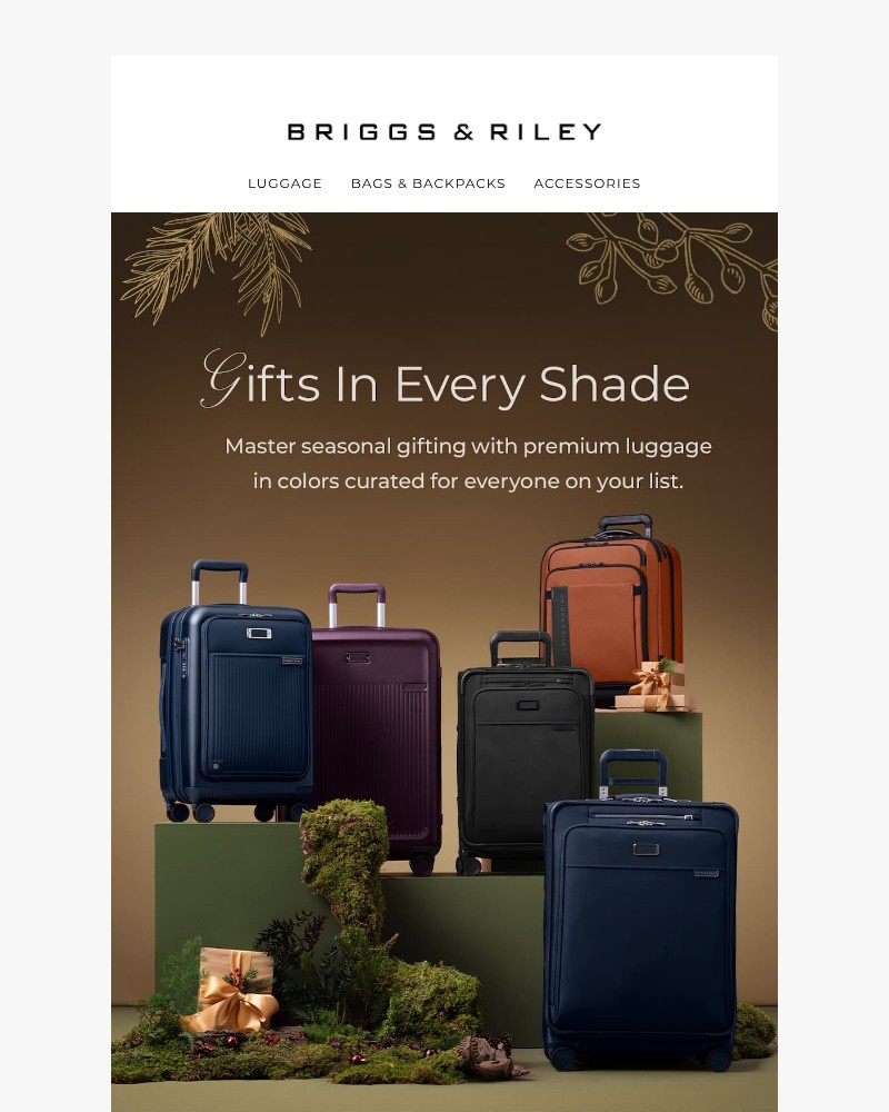 Screenshot of email with subject /media/emails/timeless-gifts-beautifully-wrapped-in-every-hue-45a63a-cropped-05a13459.jpg