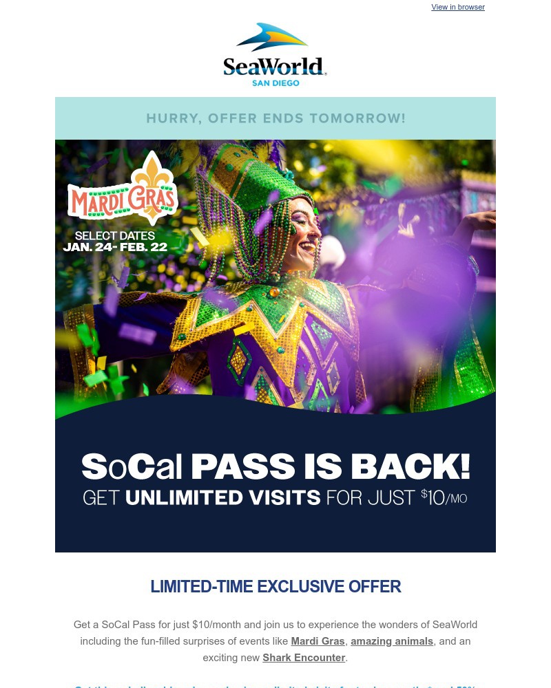 Screenshot of email sent to a Sea World Newsletter subscriber