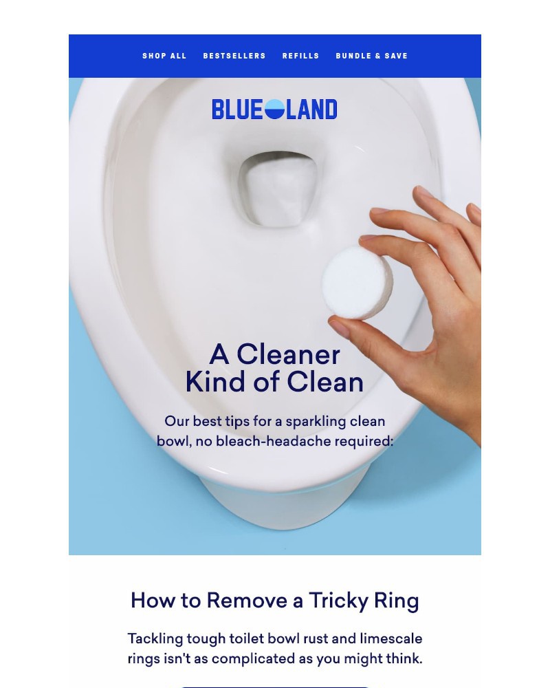 Screenshot of email sent to a Blueland Newsletter subscriber