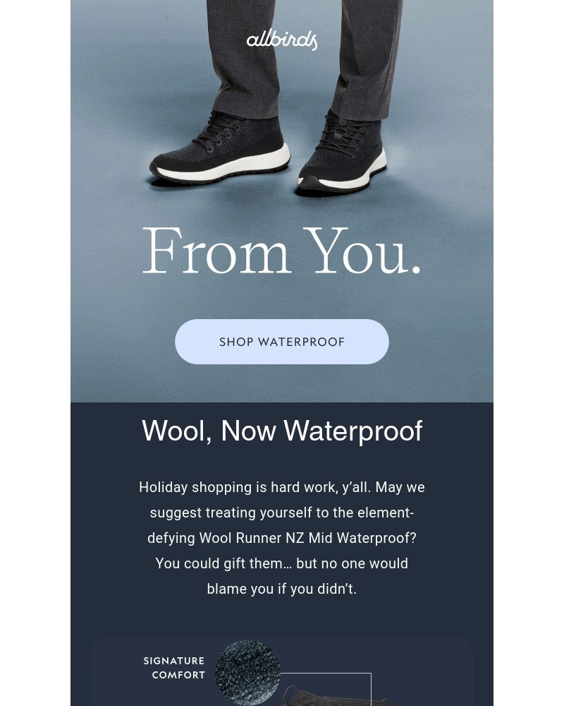 Screenshot of email with subject /media/emails/tis-the-season-to-treat-yourself-c0fc49-cropped-f34a4469.jpg