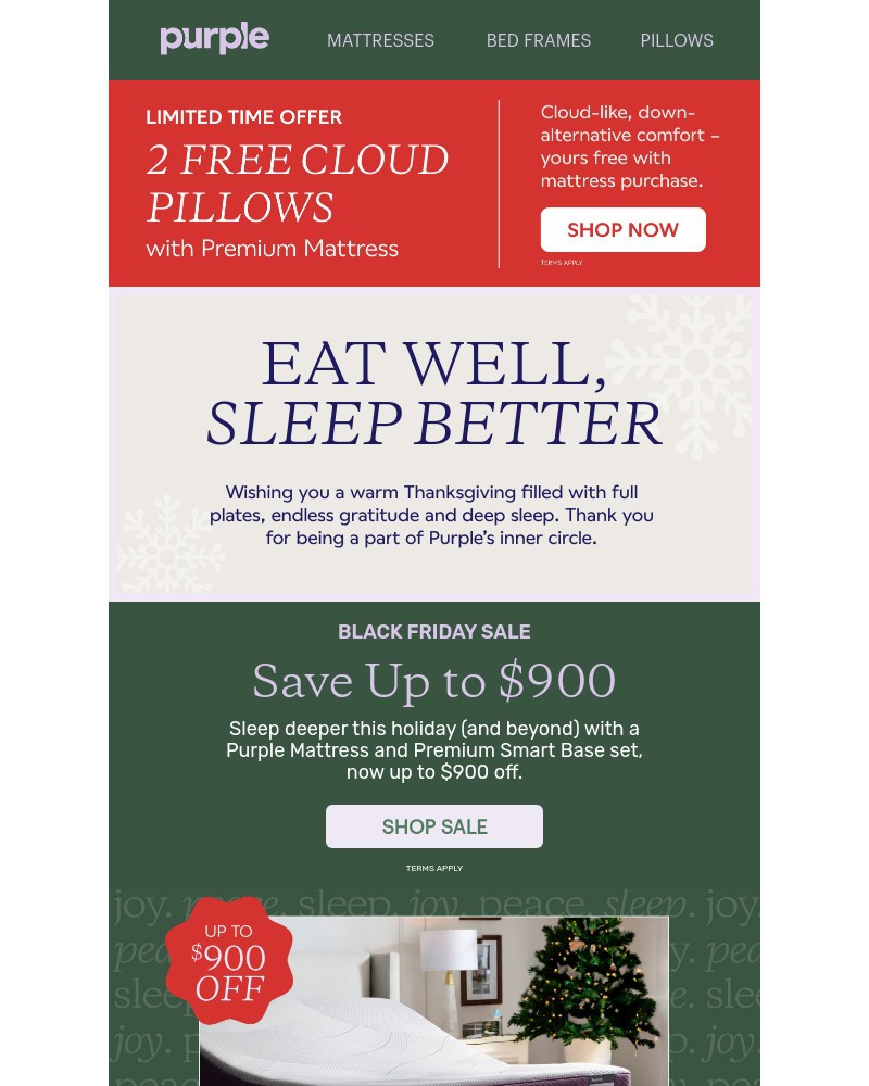 Screenshot of email with subject /media/emails/to-purples-inner-circle-thank-you-a5d9f1-cropped-190136f5.jpg