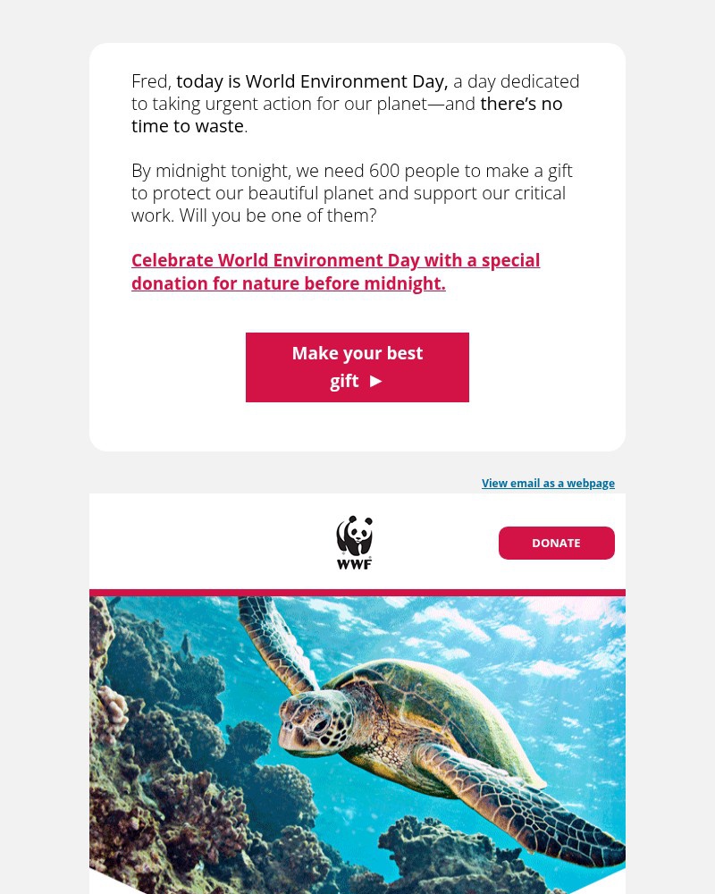 Screenshot of email with subject /media/emails/today-on-world-environment-day-nature-needs-you-83663d-cropped-fb4d9cab.jpg