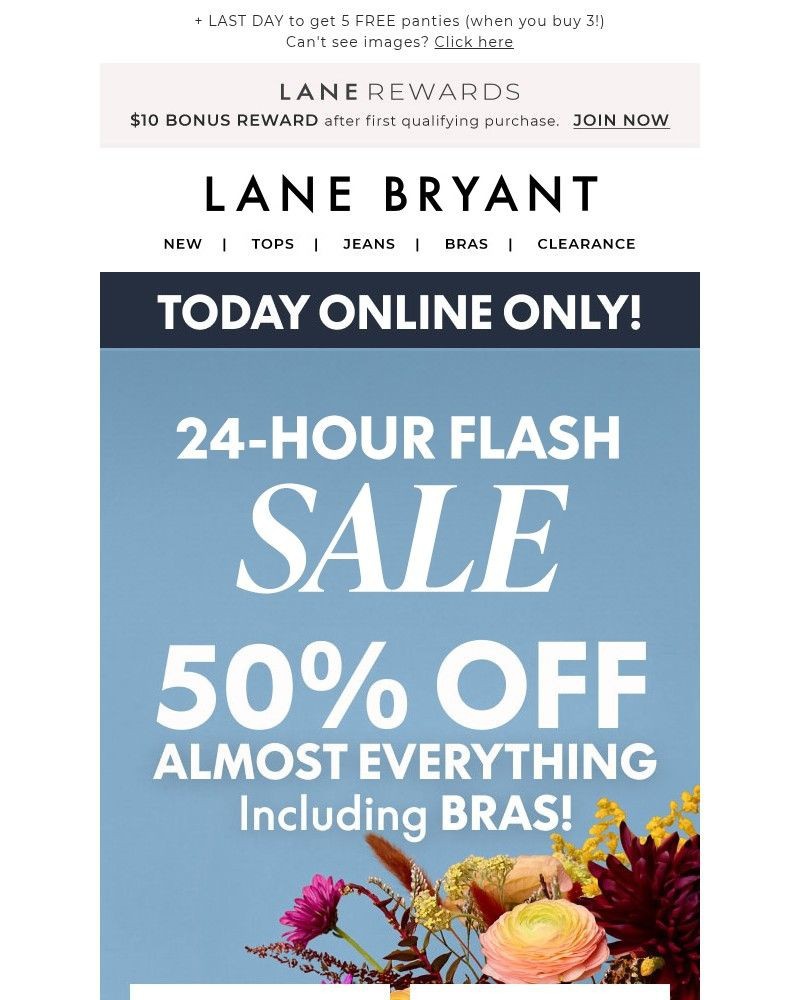 Screenshot of email with subject /media/emails/today-online-only-50-off-sitewide-bras-too-08c3f6-cropped-7216287c.jpg