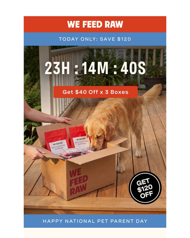 Screenshot of email sent to a We Feed Raw Newsletter subscriber