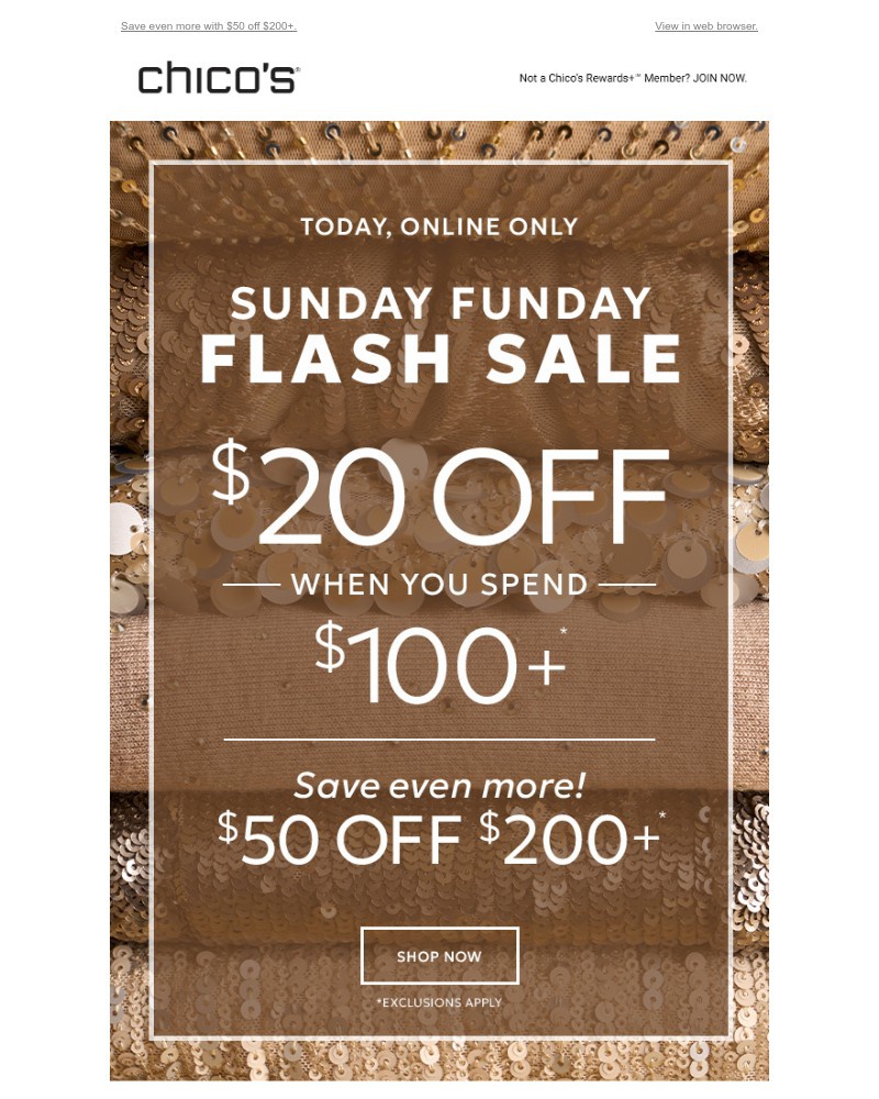 Screenshot of email with subject /media/emails/today-only-20-off-100-6ed4d7-cropped-8dbe10d4.jpg