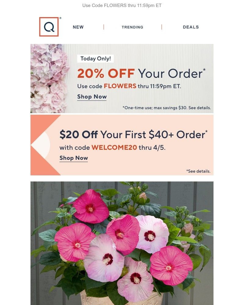 Screenshot of email with subject /media/emails/today-only-20-off-your-order-19e6e8-cropped-66c875bf.jpg