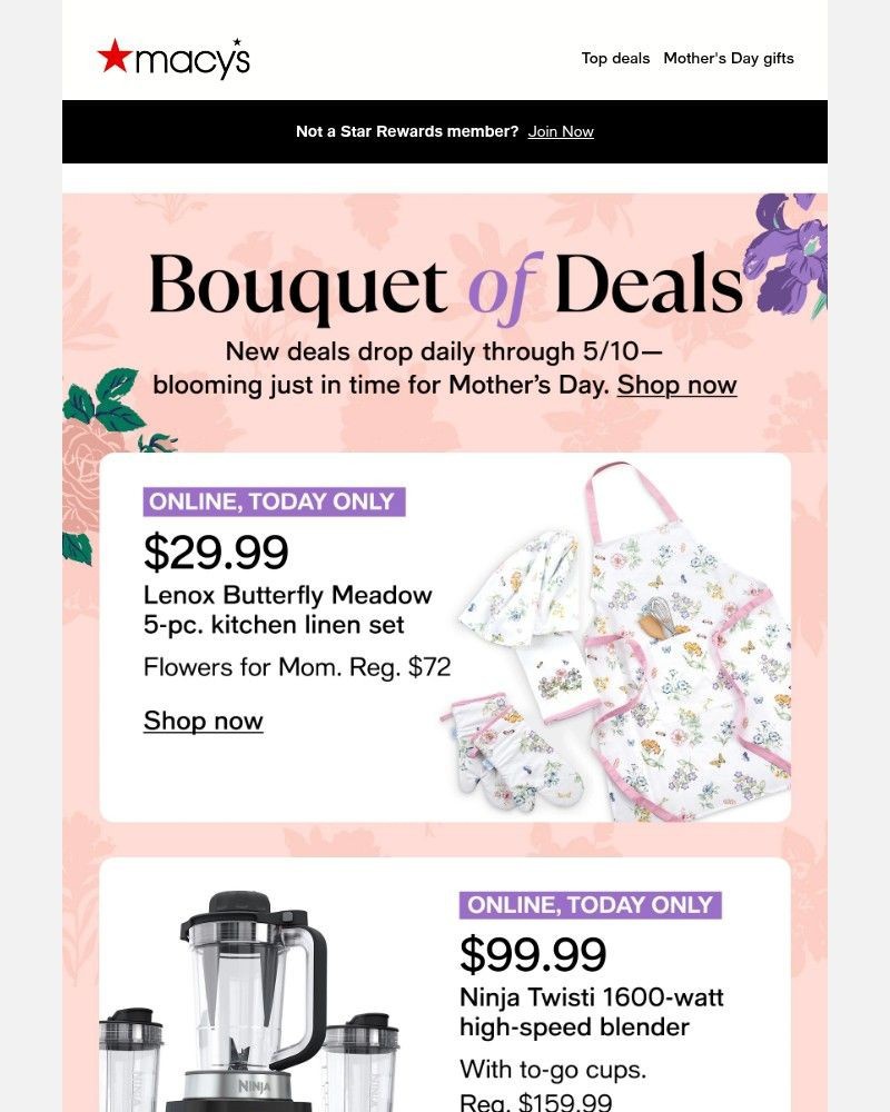 Screenshot of email with subject /media/emails/today-only-2999-lenox-butterfly-meadow-5-pc-linen-set-13c16b-cropped-c5a3d33e.jpg