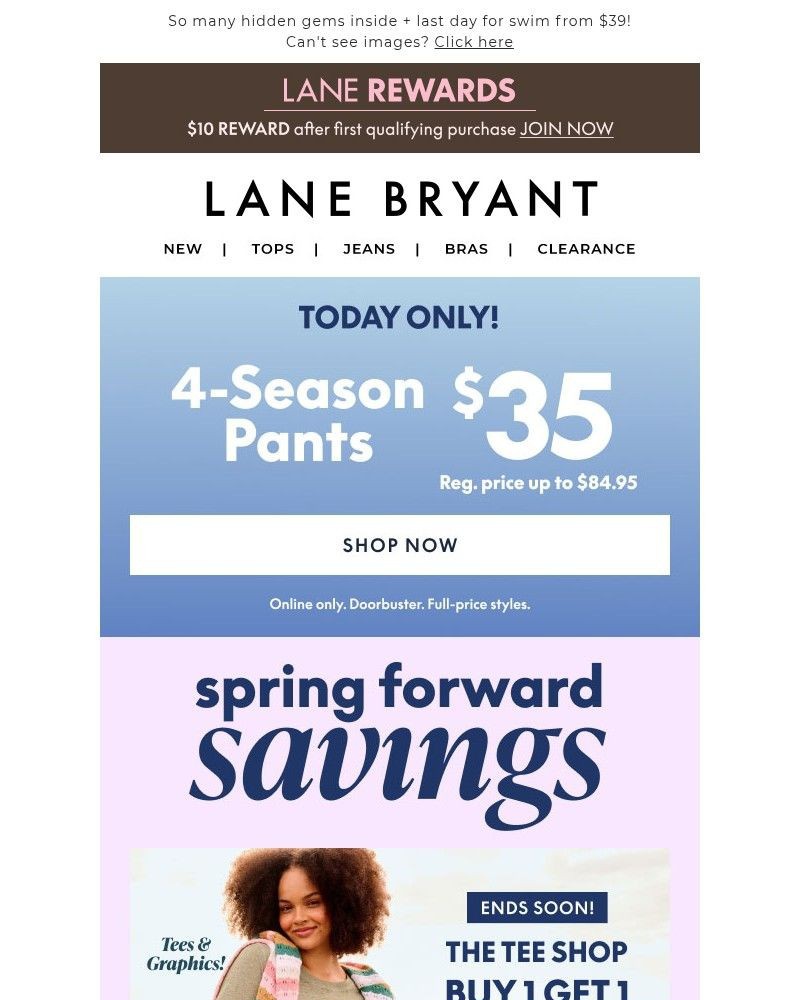 Screenshot of email sent to a Lane Bryant Newsletter subscriber