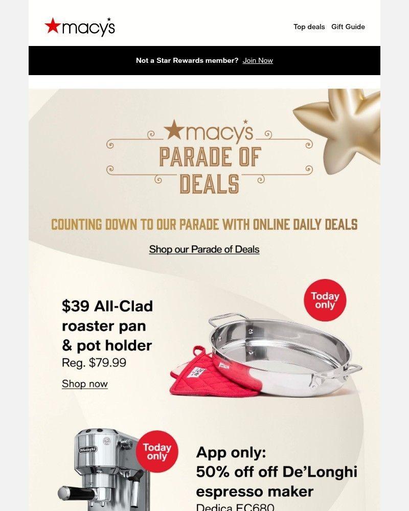 Screenshot of email with subject /media/emails/today-only-39-all-clad-roasters-8748ad-cropped-ddbd4422.jpg