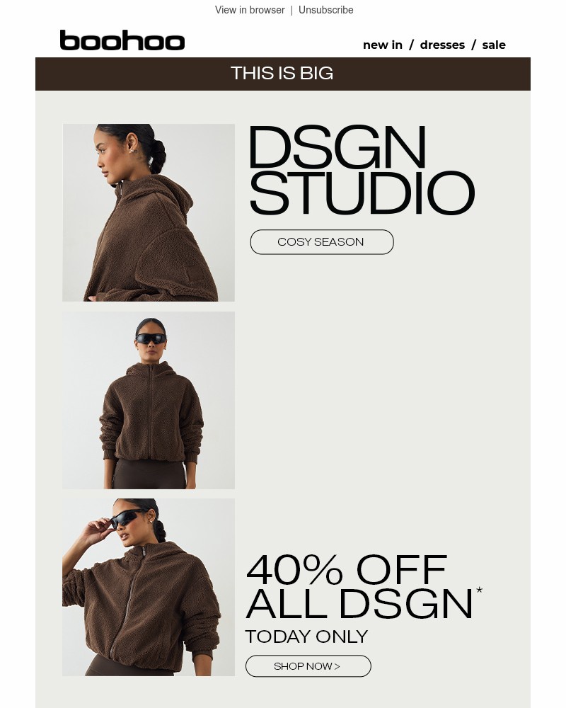 Screenshot of email with subject /media/emails/today-only-40-off-dsgn-studio-002280-cropped-9fefe035.jpg