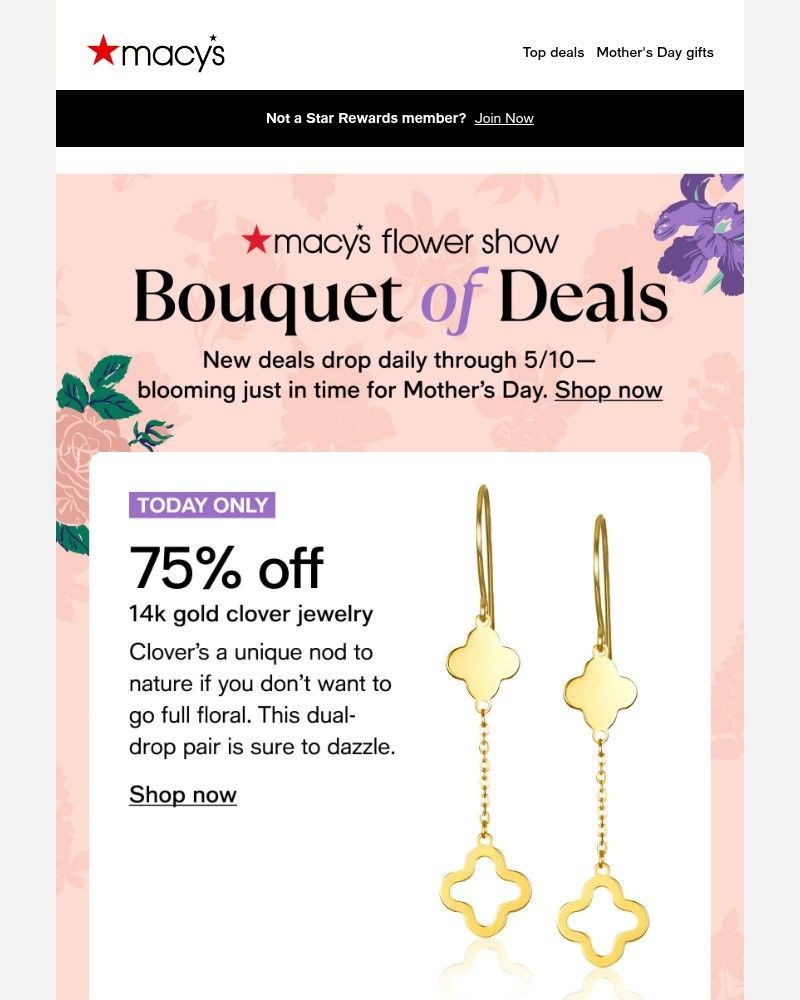 Screenshot of email with subject /media/emails/today-only-75-off-14k-gold-clover-jewelry-46a3fc-cropped-6241b7ee.jpg