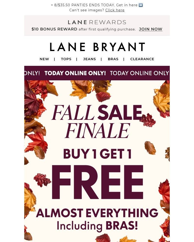 Screenshot of email with subject /media/emails/today-only-bogo-free-bras-more-get-in-quick-e6824f-cropped-74815e62.jpg