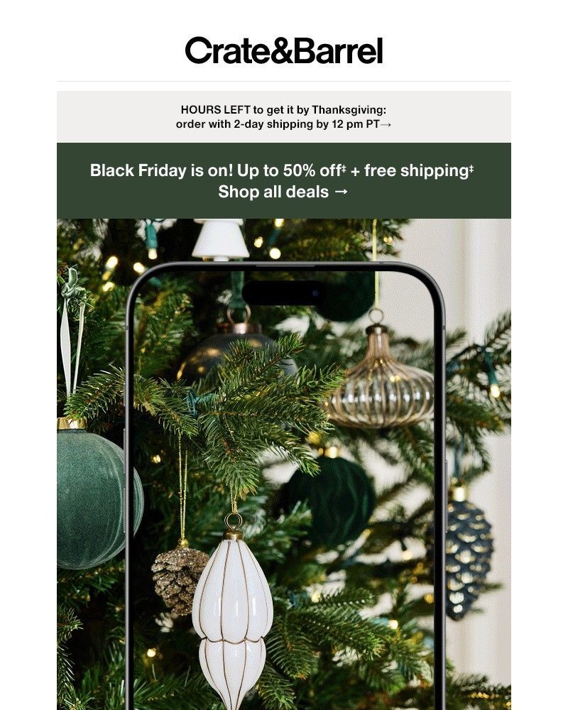 Screenshot of email with subject /media/emails/today-only-every-single-ornament-is-20-off-8a096e-cropped-276283a9.jpg