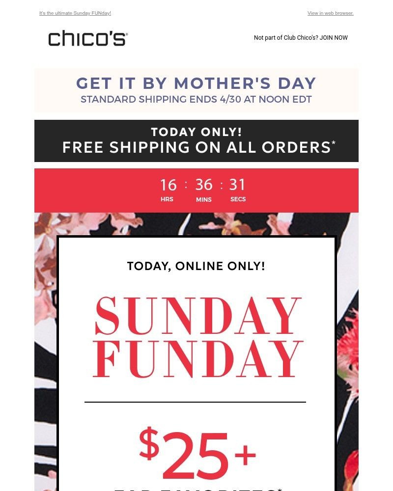 Screenshot of email with subject /media/emails/today-only-fab-faves-from-25-free-shipping-more-de8bba-cropped-7eef19ec.jpg