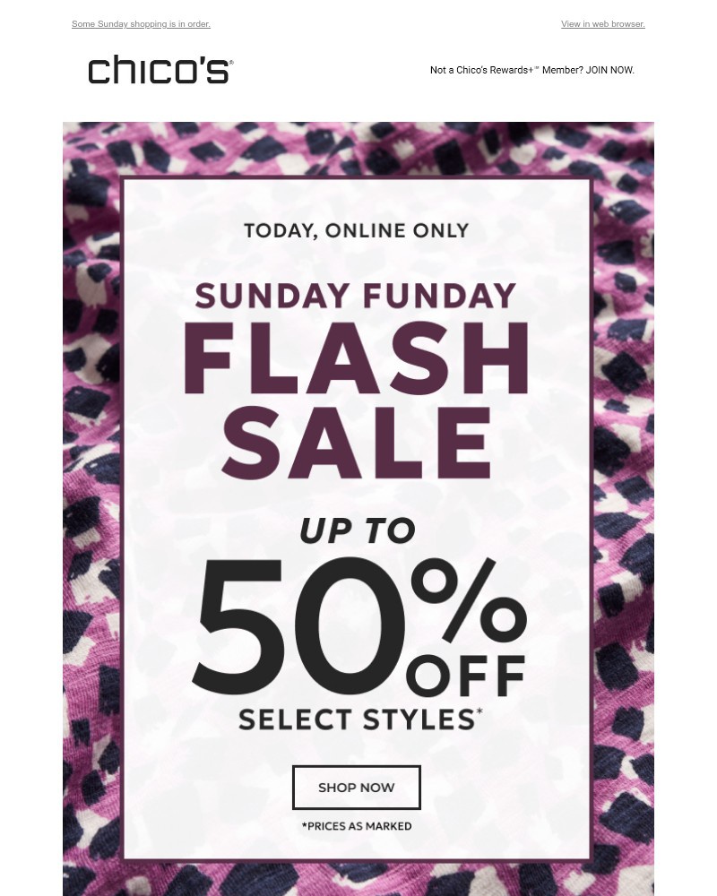 Screenshot of email with subject /media/emails/today-only-fun-up-to-50-off-e40430-cropped-c0a6683b.jpg
