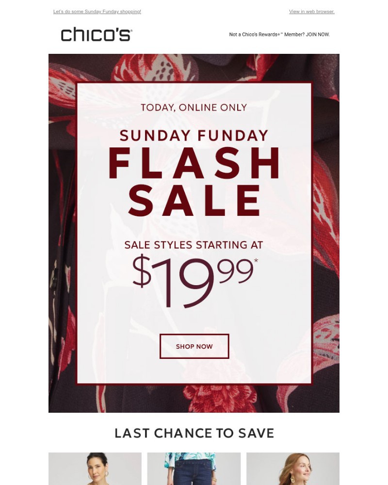 Screenshot of email with subject /media/emails/today-only-sale-styles-starting-at-1999-efe5e1-cropped-f15d506c.jpg