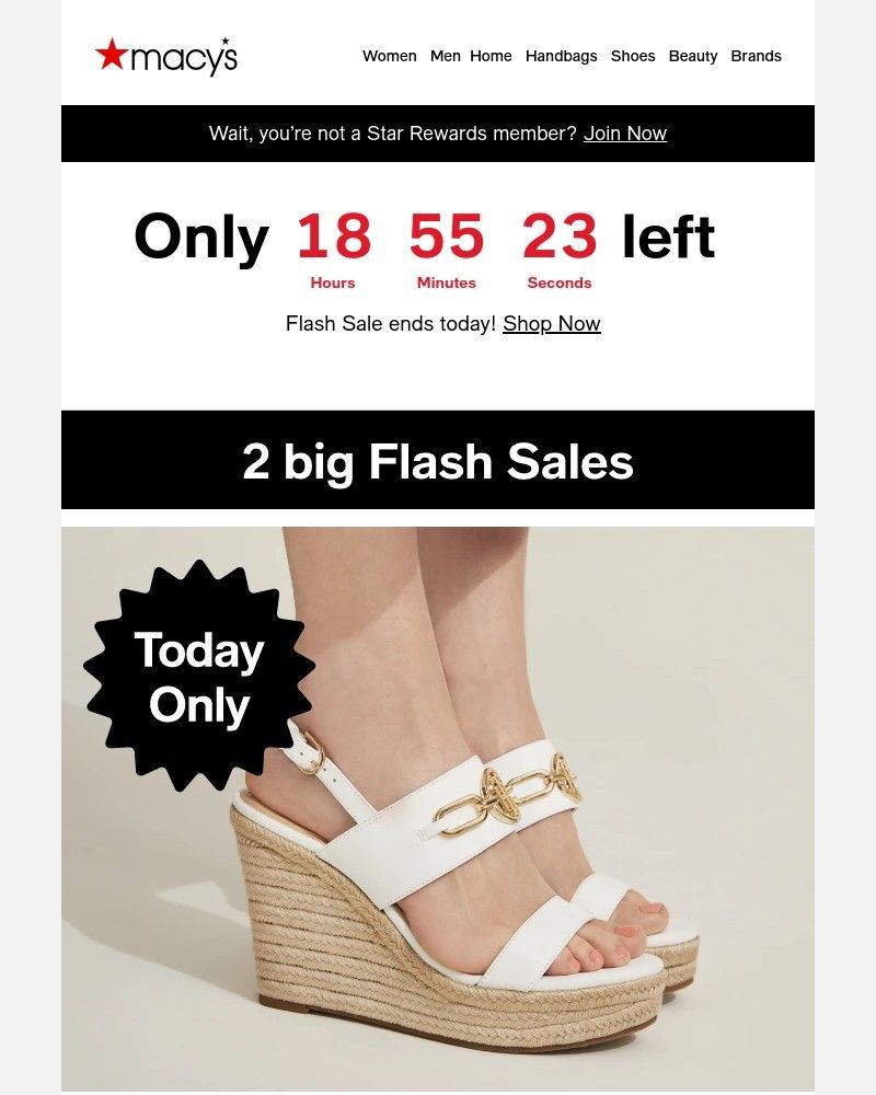 Screenshot of email with subject /media/emails/today-onlyshop-2-flash-sales-save-big-for-the-fam-c2ee41-cropped-a5e849cf.jpg