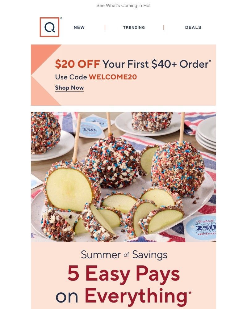 Screenshot of email sent to a QVC Newsletter subscriber